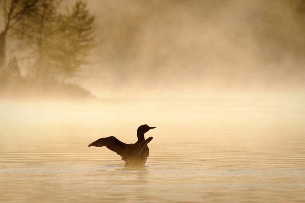 17 Best Things to Do in the Upper Peninsula, Michigan (2025 Guide)
